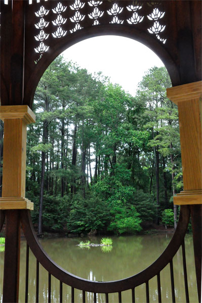 gazebo view of turtles